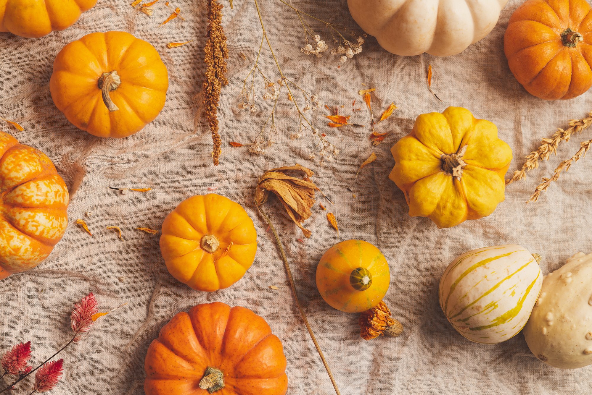 Autumn Pumpkins Flatlay